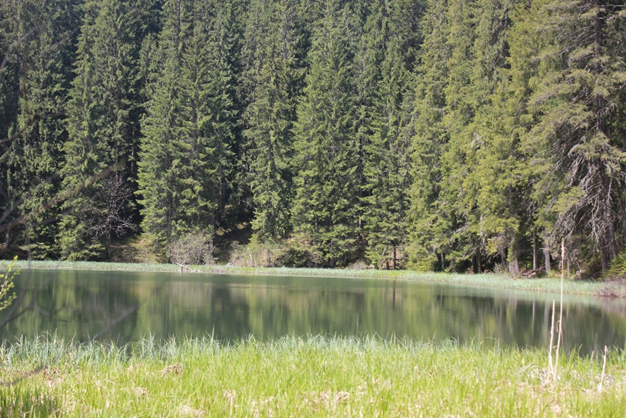 Топ-5 місць Буковини, які варто відвідати вже сьогодні