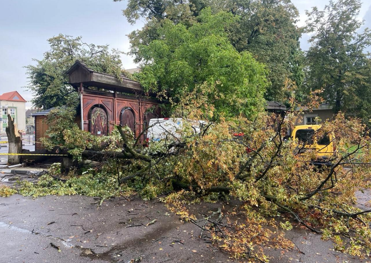 Один из регионов Украины "накрыла" непогода: последствия урагана (фото, видео)