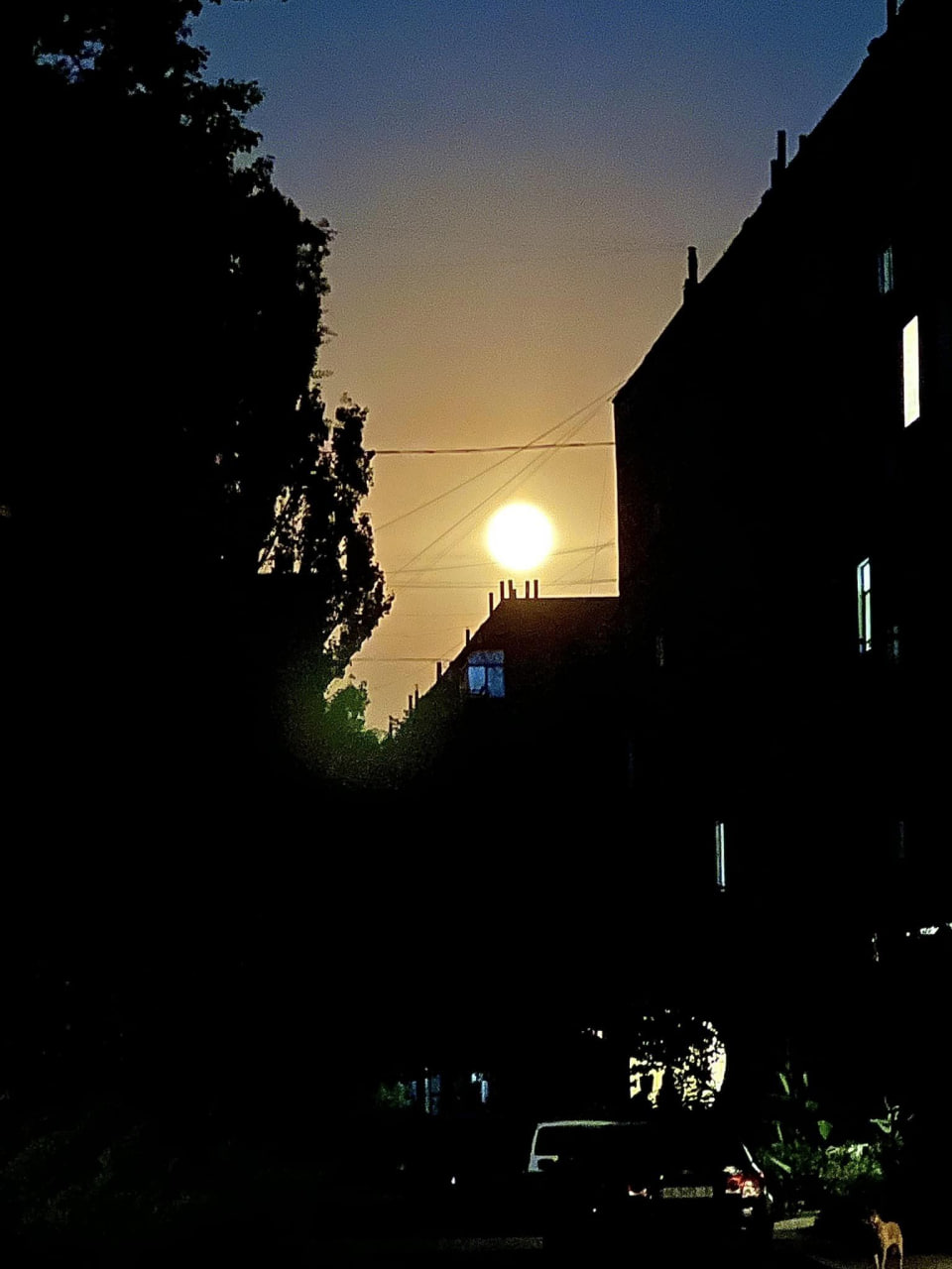 Над Україною - "Осетровий" Місяць. Неймовірні фото рідкісного явища