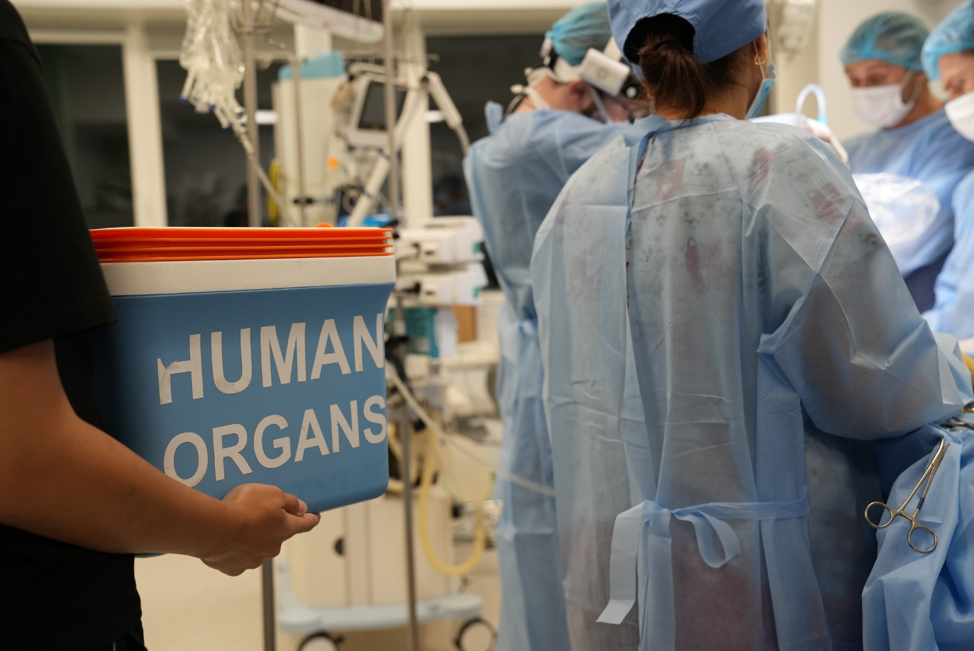 Сама стала донором. Лікарка врятувала кілька життів після власної смерті