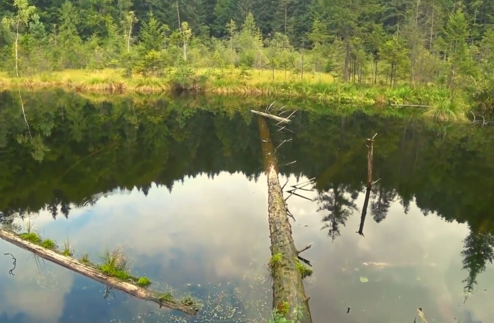 "Мертвое озеро" в Карпатах: как до него добраться и получится ли искупаться