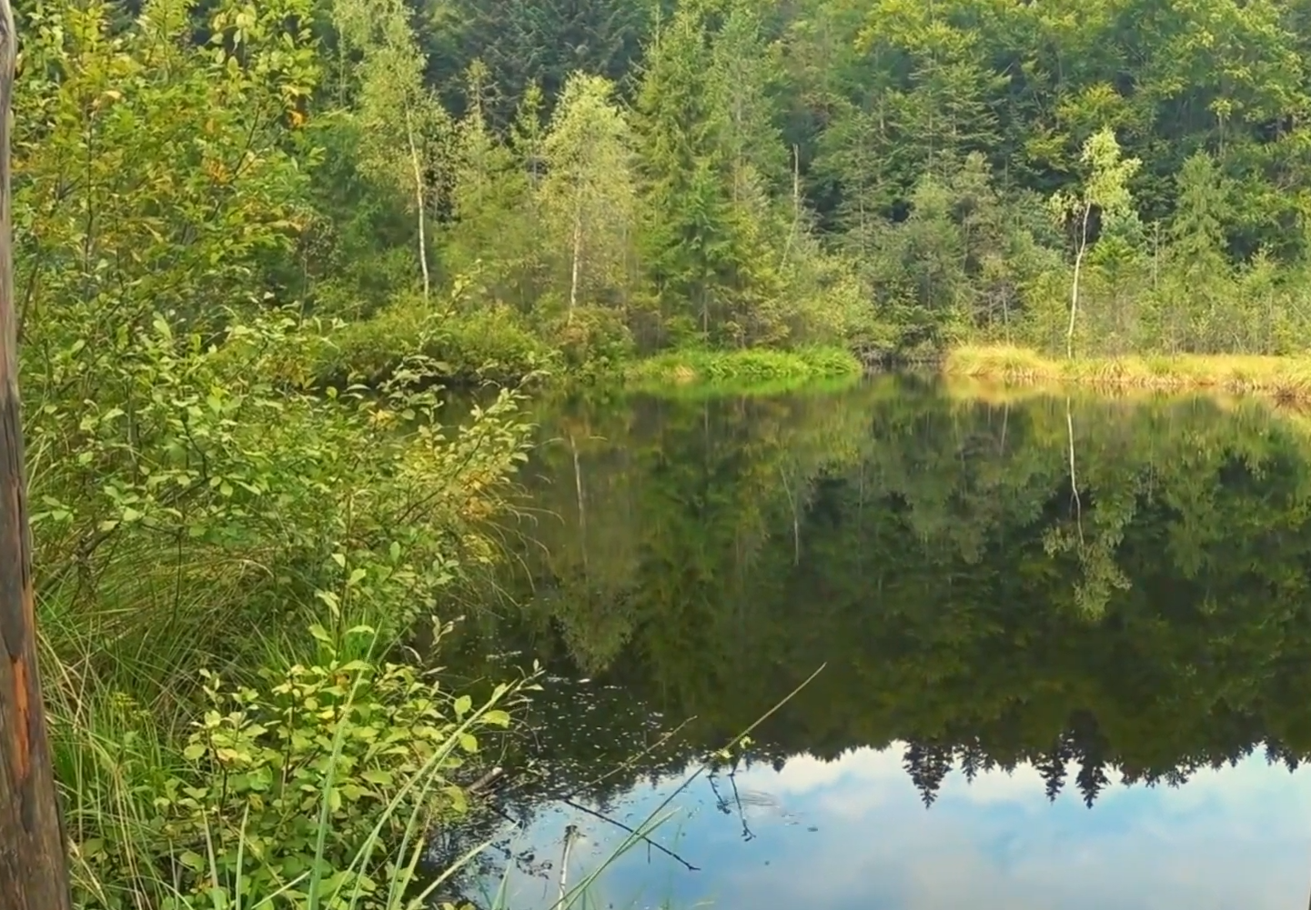 "Мертвое озеро" в Карпатах: как до него добраться и получится ли искупаться