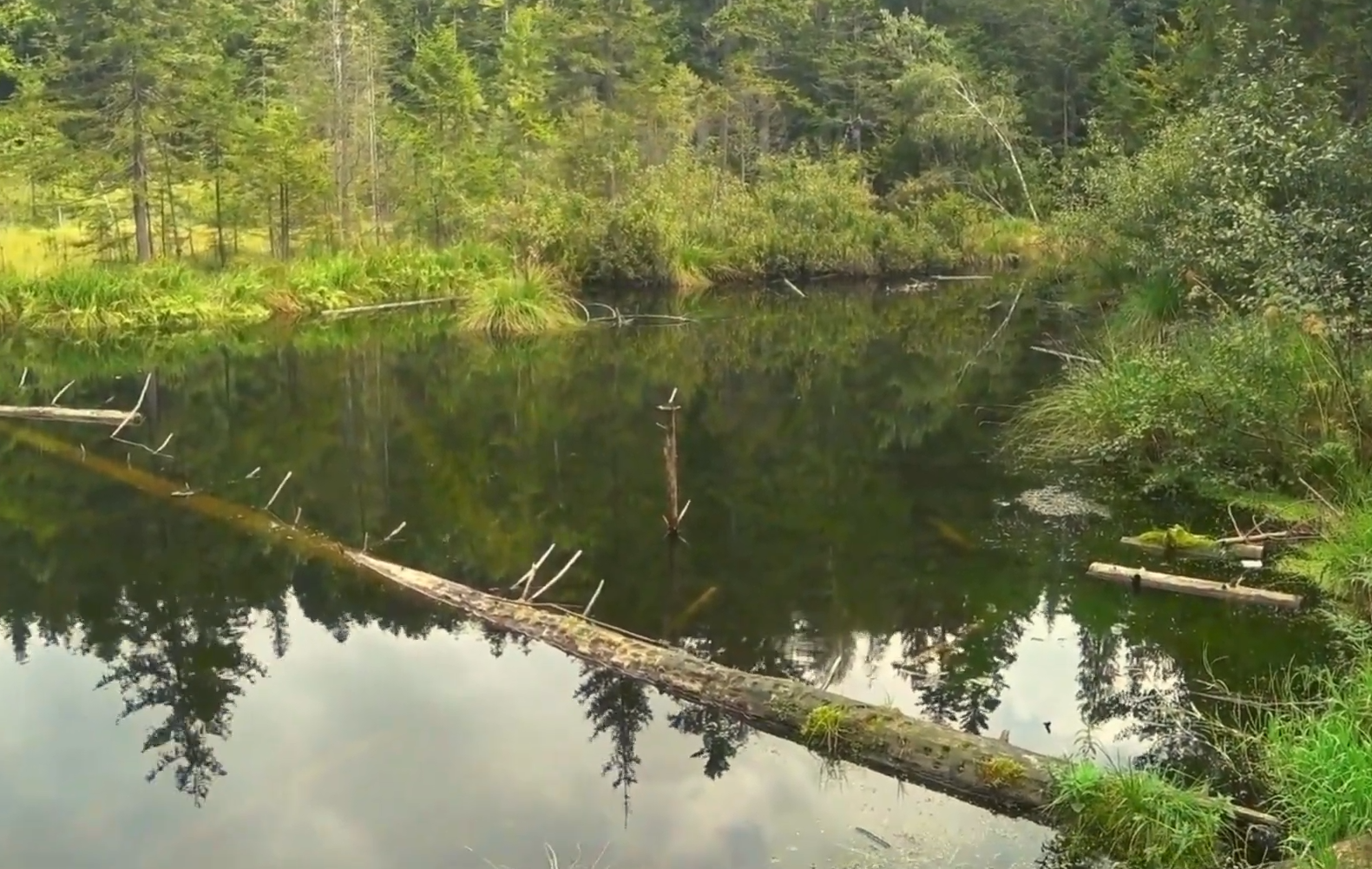 "Мертвое озеро" в Карпатах: как до него добраться и получится ли искупаться
