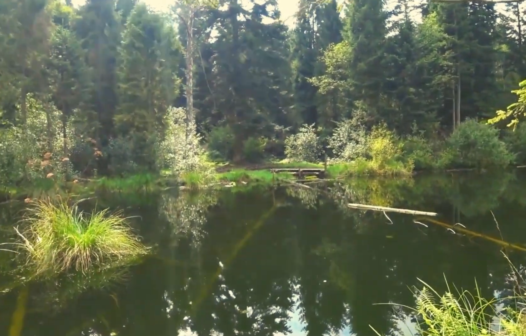 "Мертвое озеро" в Карпатах: как до него добраться и получится ли искупаться