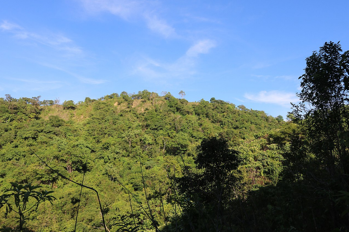 Від ворожих аборигенів до радіації: 5 найнебезпечніших островів світу (фото, відео)