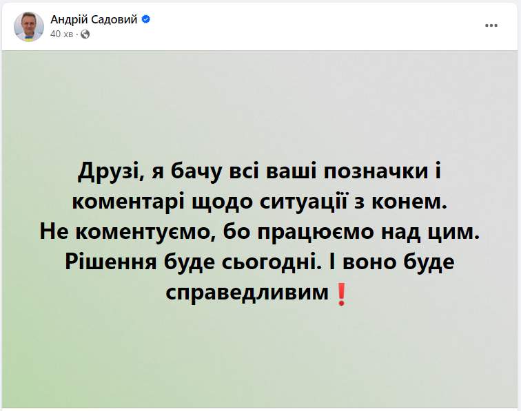 Во Львове разгорелся скандал из-за эксплуатации лошадей для развлечения туристов: что известно