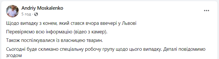Во Львове разгорелся скандал из-за эксплуатации лошадей для развлечения туристов: что известно