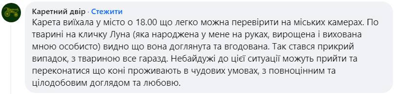 Во Львове разгорелся скандал из-за эксплуатации лошадей для развлечения туристов: что известно