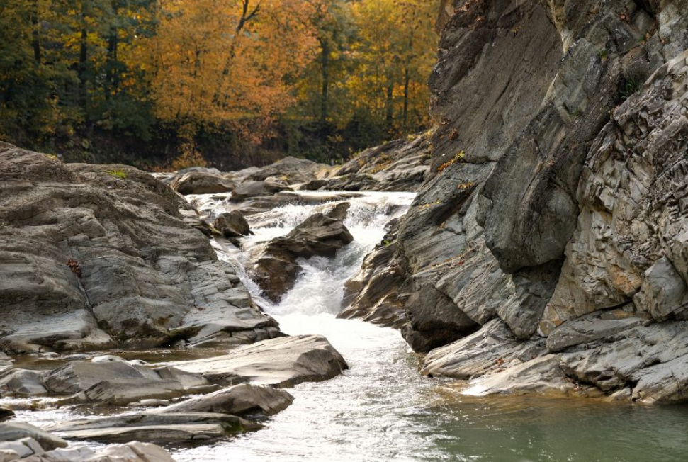Природа, традиції й ремесла. Чим нацпарк "Гуцульщина" дивує туристів та як туди дістатися