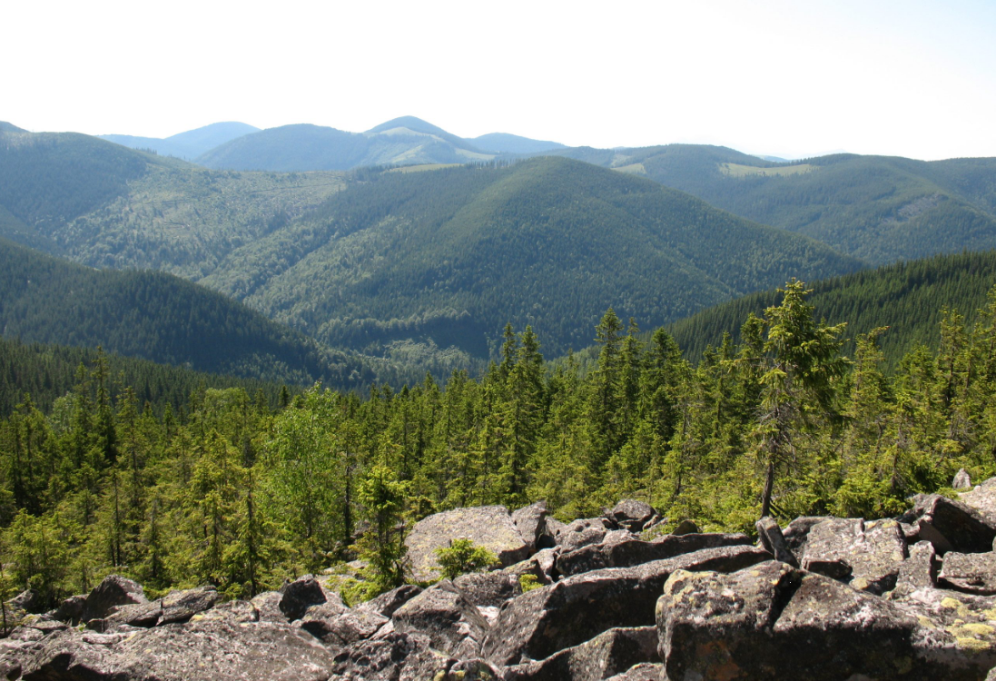 Природа, традиції й ремесла. Чим нацпарк "Гуцульщина" дивує туристів та як туди дістатися