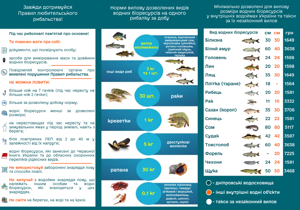 Як українцям можна ловити раків, щоб не отримати штраф: поради рибалкам