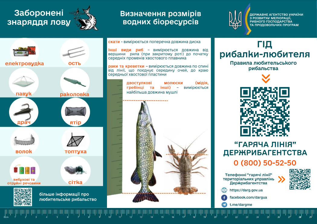 Заборону знято: як ловити раків на водоймах України, щоб не нарватися на штраф