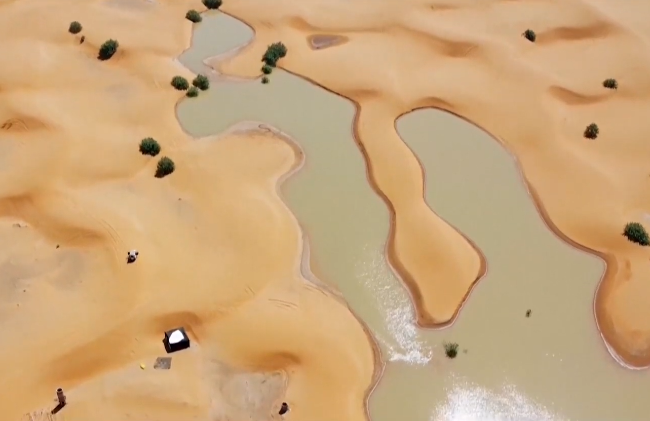 Мощные ливни затопили Сахару: невероятные кадры из пустыни