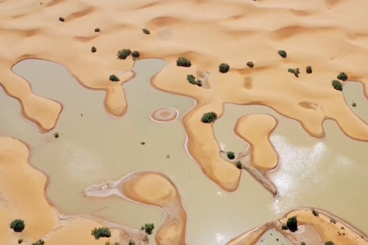 Мощные ливни затопили Сахару: невероятные кадры из пустыни