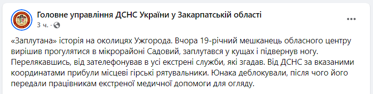 "Закарпатський Рапунцель". В Ужгороді ДСНС рятувала хлопця, який "заплутався в кущах"
