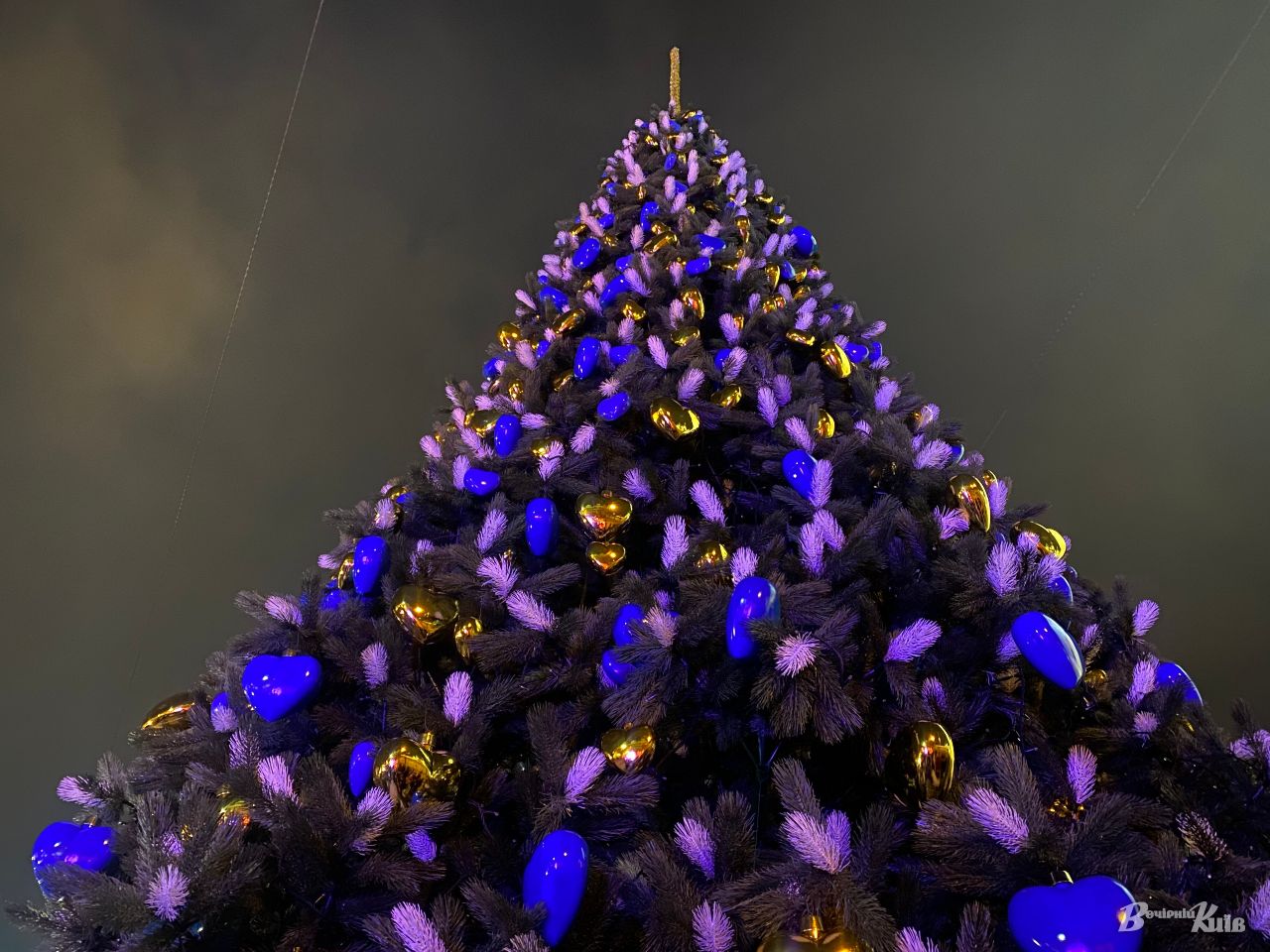 На Софиевской площади в Киеве зажгли главную елку страны (фото и видео)