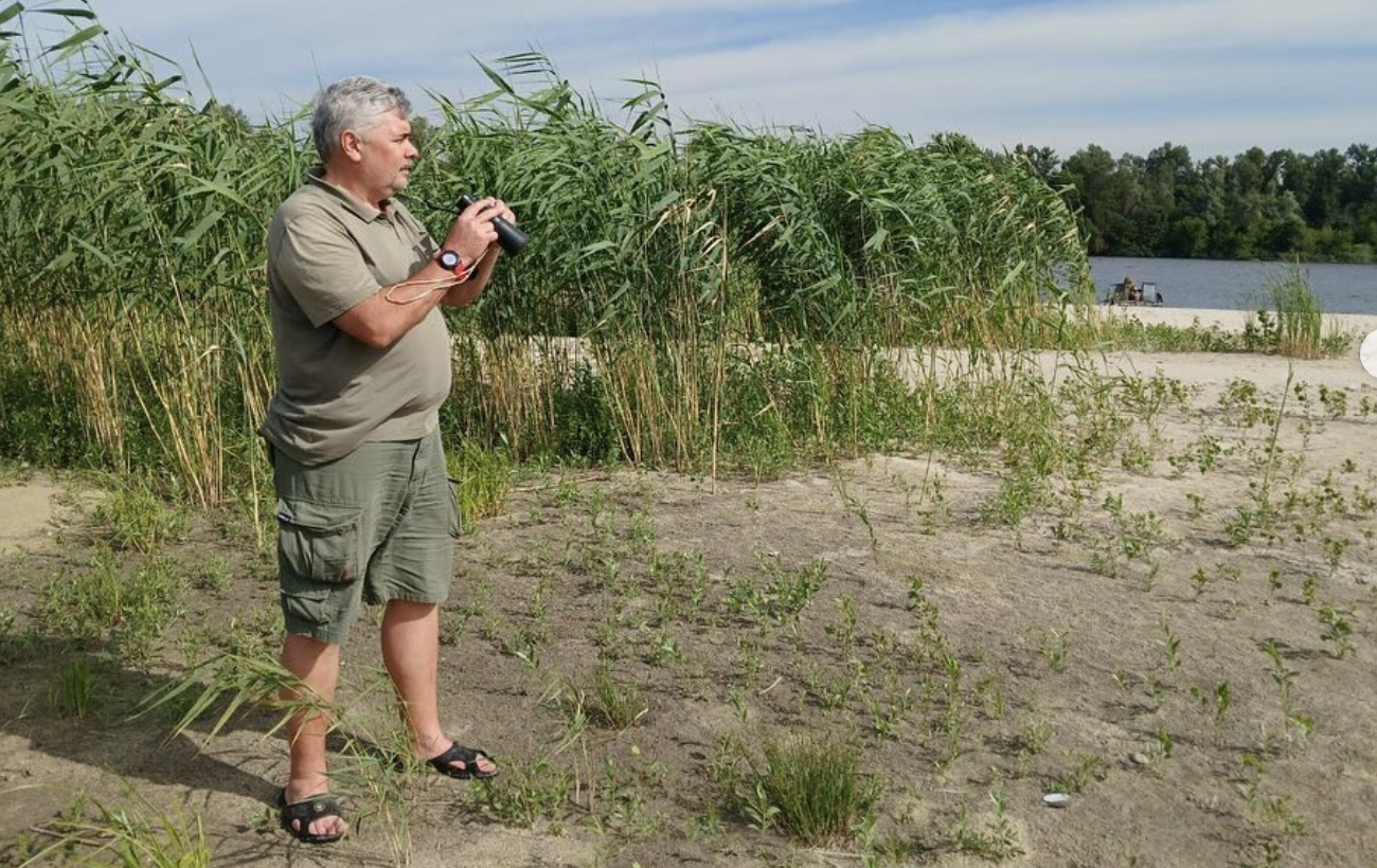 Куди зникають горобці і чому в Україні немає чорних ворон, – інтерв'ю з орнітологом