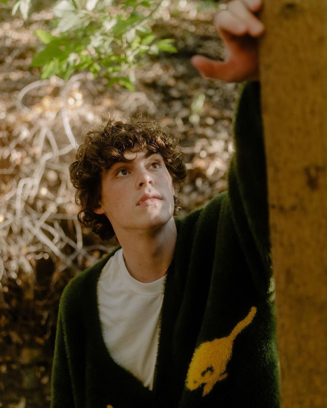 Свежая кровь: 5 новых кинозвезд, за которыми следует следить уже сейчас