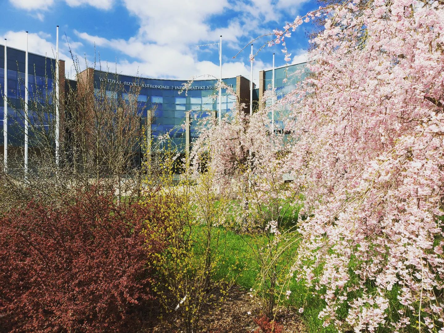 Як вступити до європейського університету під час війни: список доступних ВНЗ і поради по адаптації