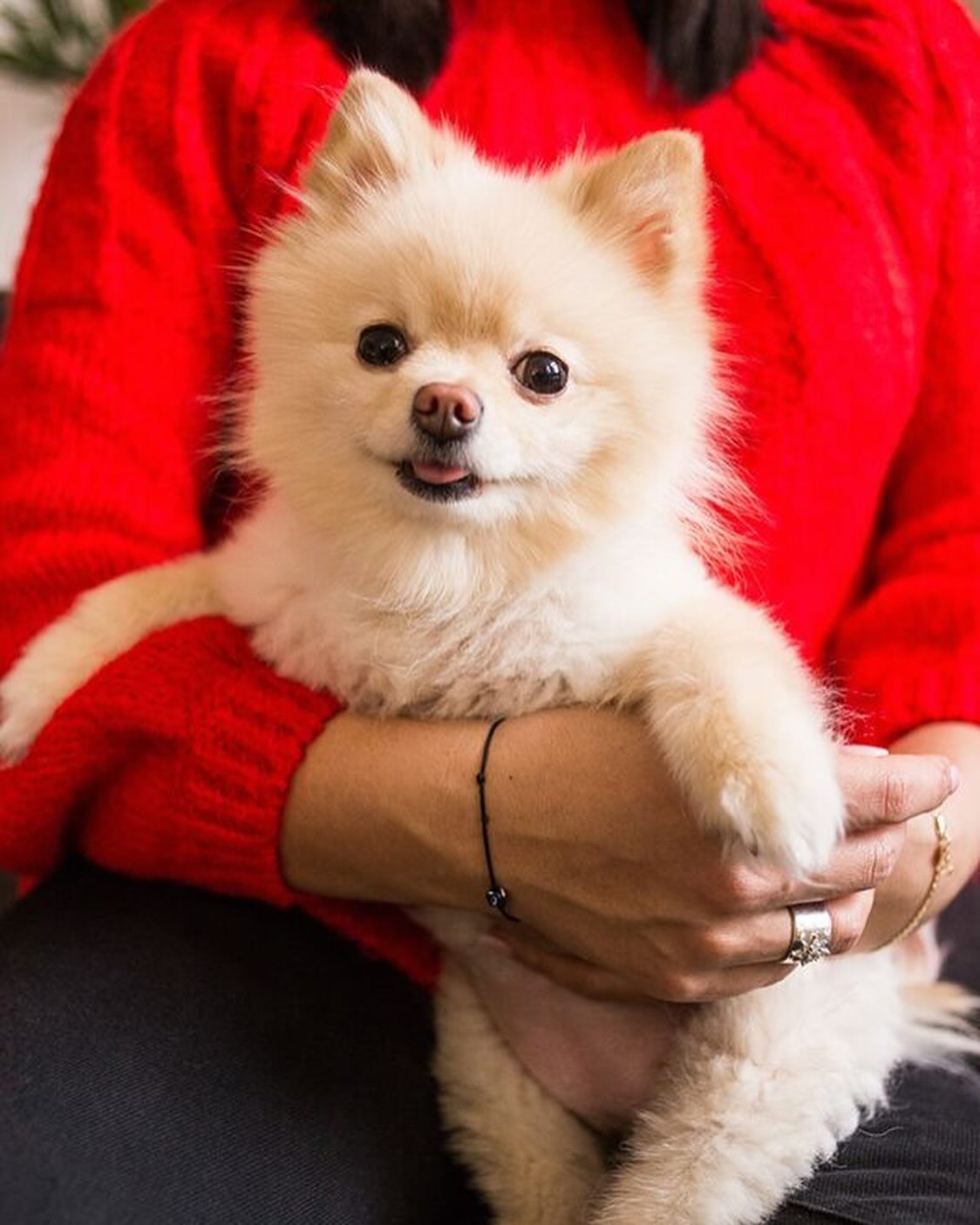 Джамала повідомила сумну новину: "Дякую, що була нашою родиною"