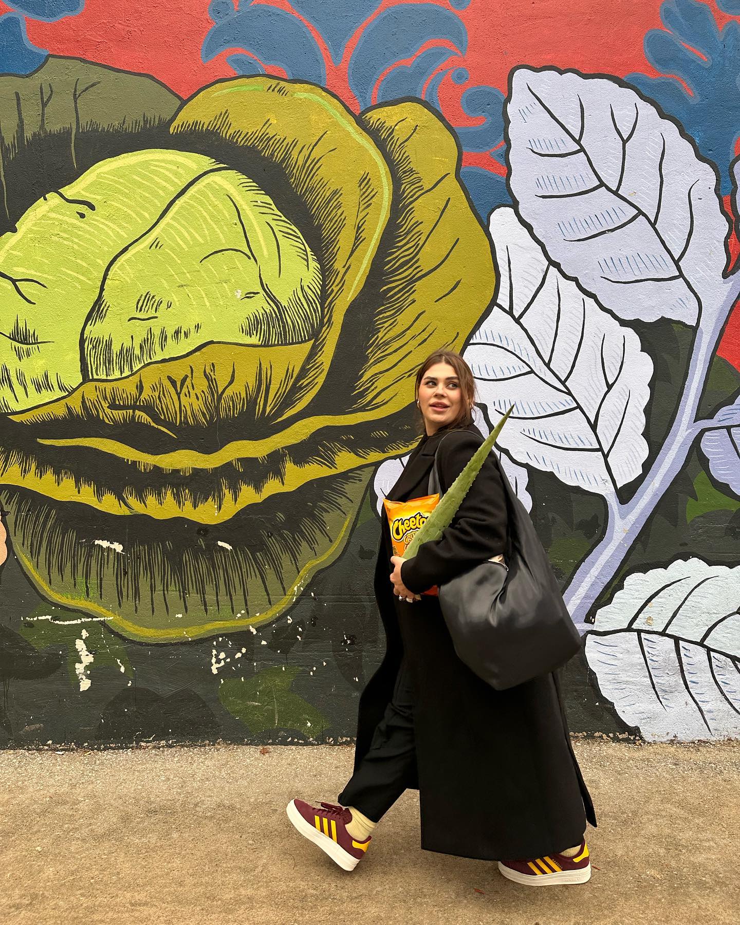 Носить підробки та краде у секонд-хенді: Ніколас Карма розсекретив вартість луку Саші Заріцької