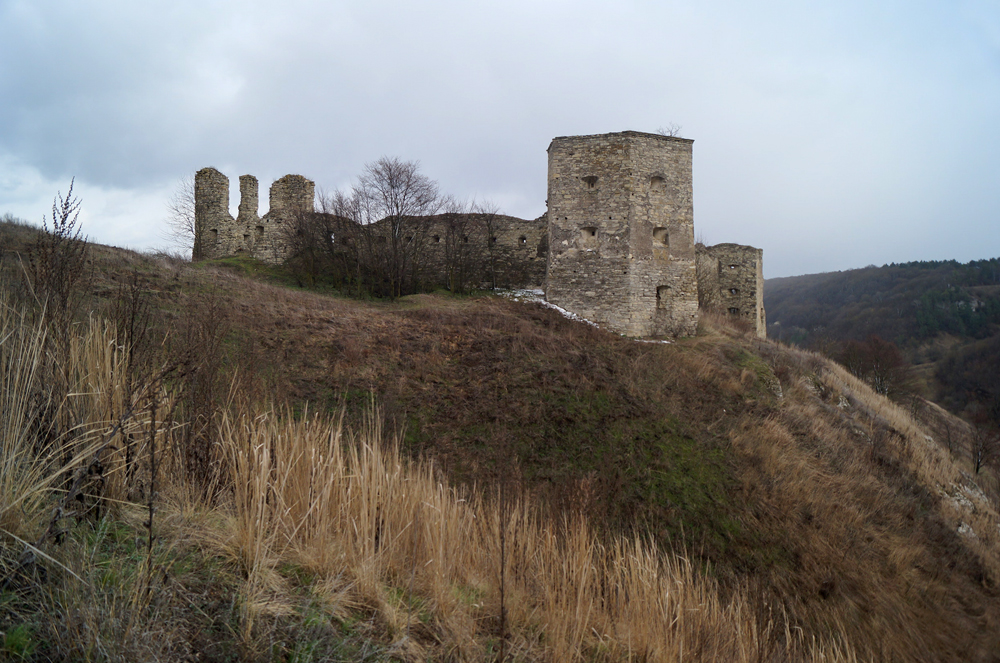 Башни с историей. Лучшие замки-руины в Украине, которые сохранились до наших дней