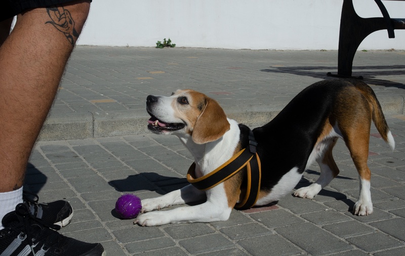"Путіну люди не потрібні". Як війна змінила Одесу і чим живе місто біля моря