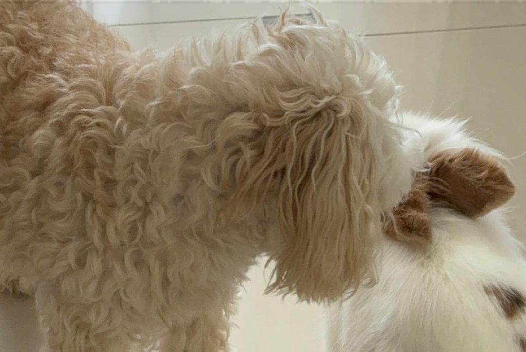 Лобода виклала дивні фото у день атаки ХАМАСа по Ізраїлю