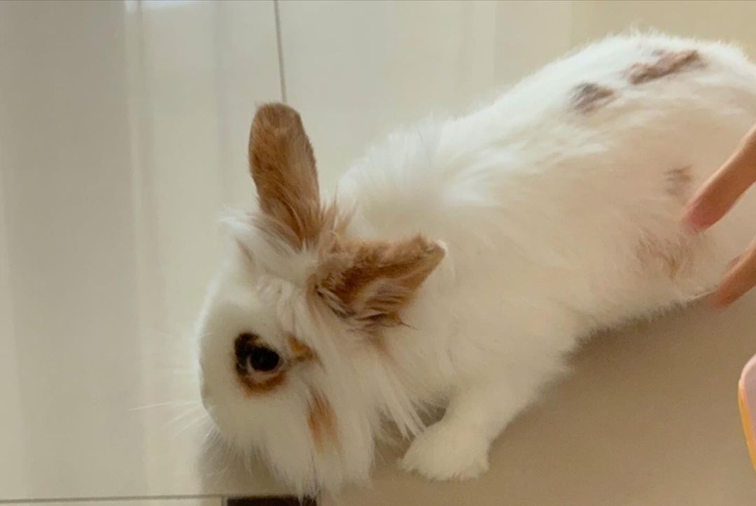 Лобода виклала дивні фото у день атаки ХАМАСа по Ізраїлю