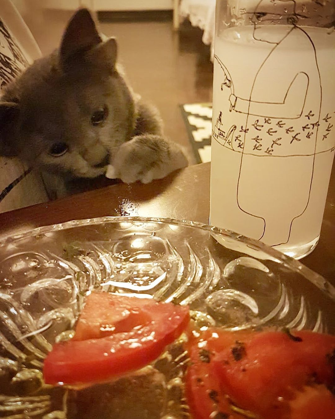 Люди врятували кошеня з чотирма вухами і тепер пухнастик - зірка мережі (багато зворушливих фото)