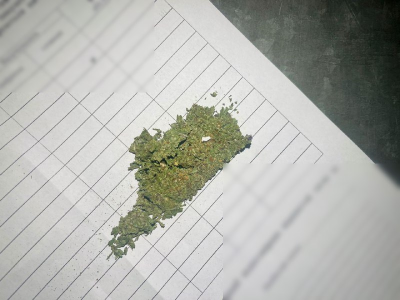 Наркотик нашли в кроссовках: украинец пытался перевезти в Польшу каннабис