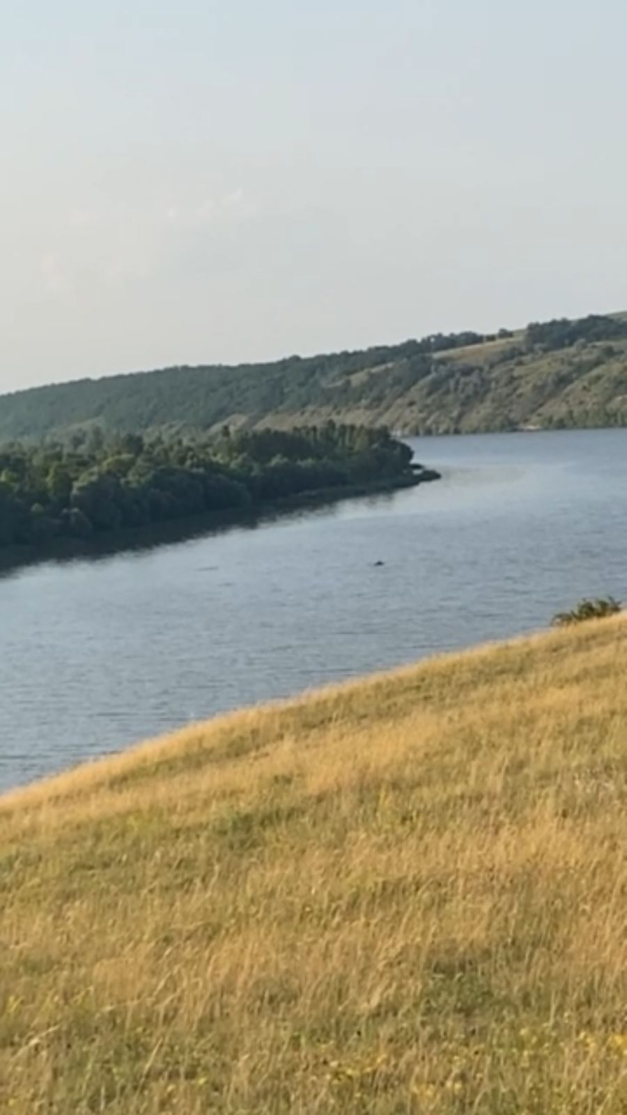 Прикордонники затримали двох чоловіків, які на матраці тікали в Молдову