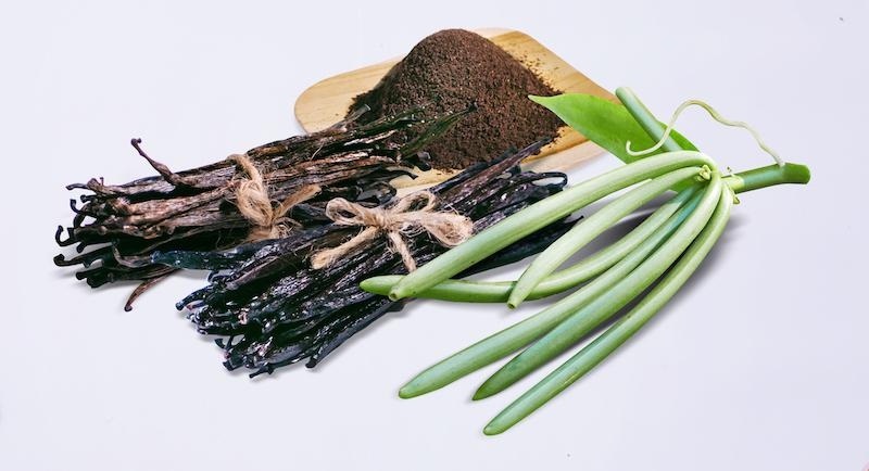 Ваніль - не лише ароматна спеція, а й дуже пахуча орхідея: як виростити її вдома