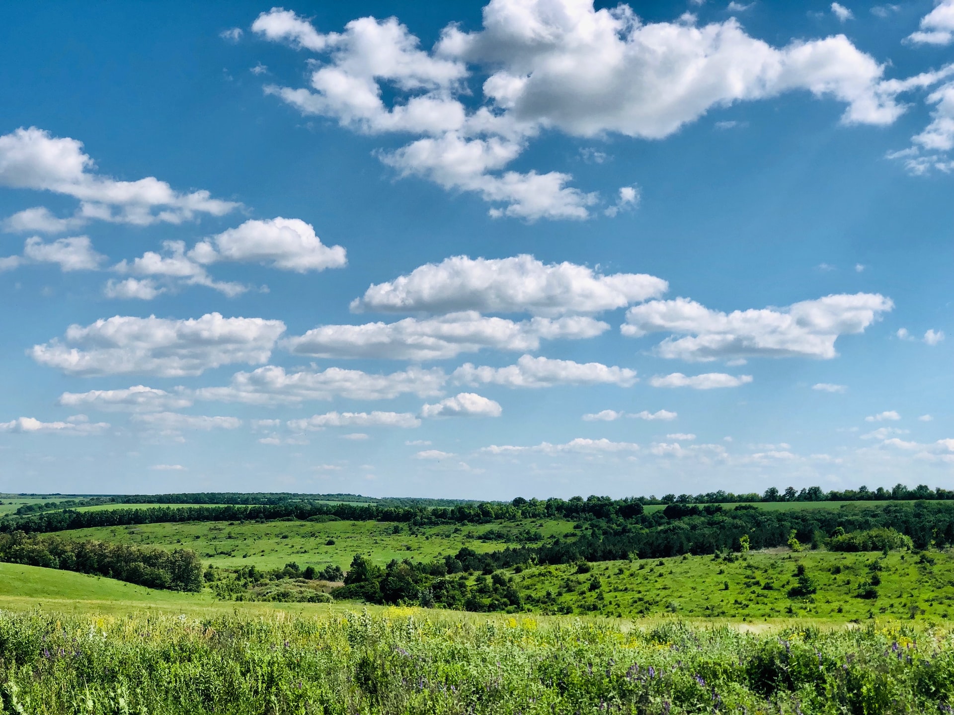 Правила путешествий во время войны: главные ограничения по регионам Украины
