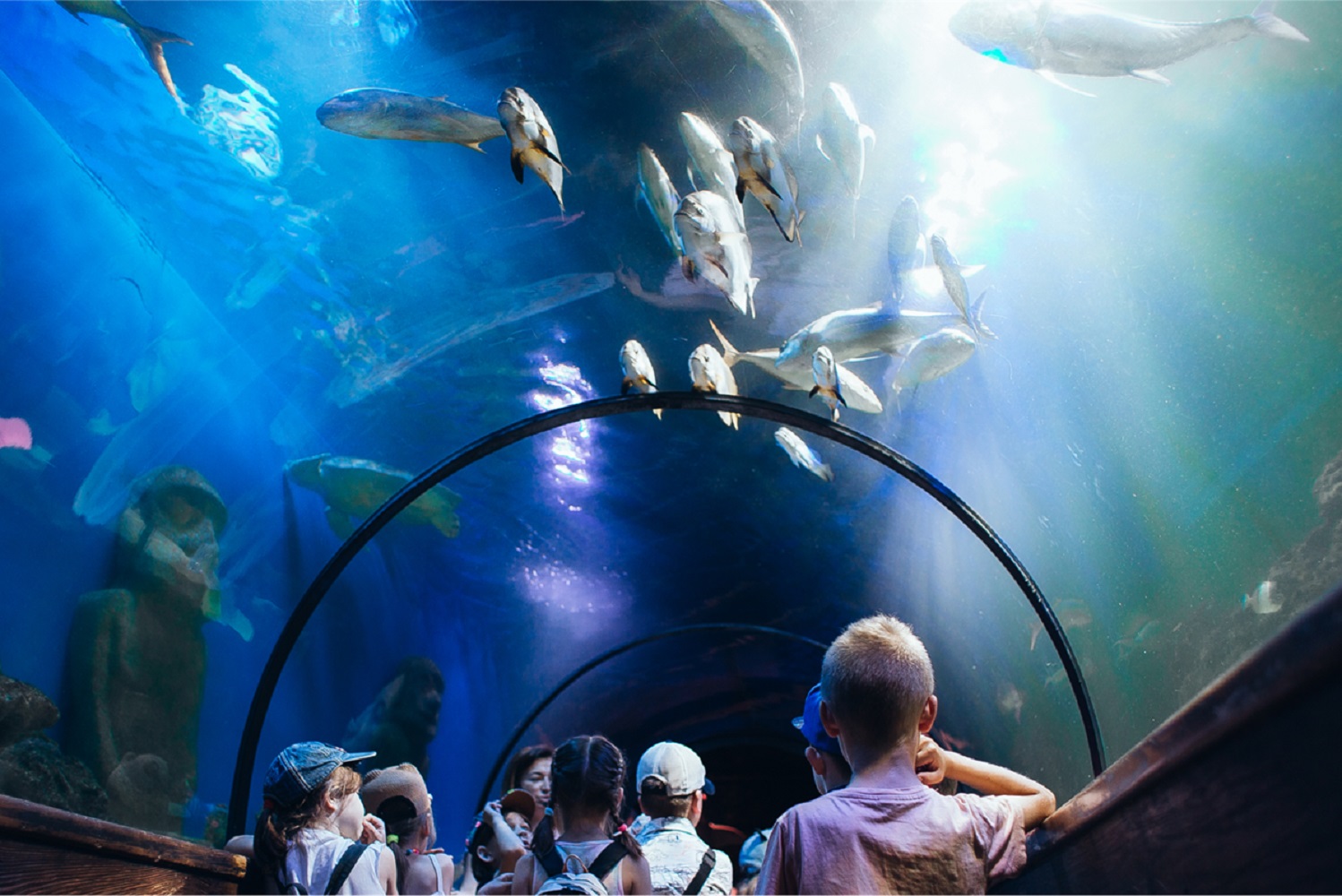 Весенние каникулы: где отдохнуть с детьми в Киеве недорого и интересно