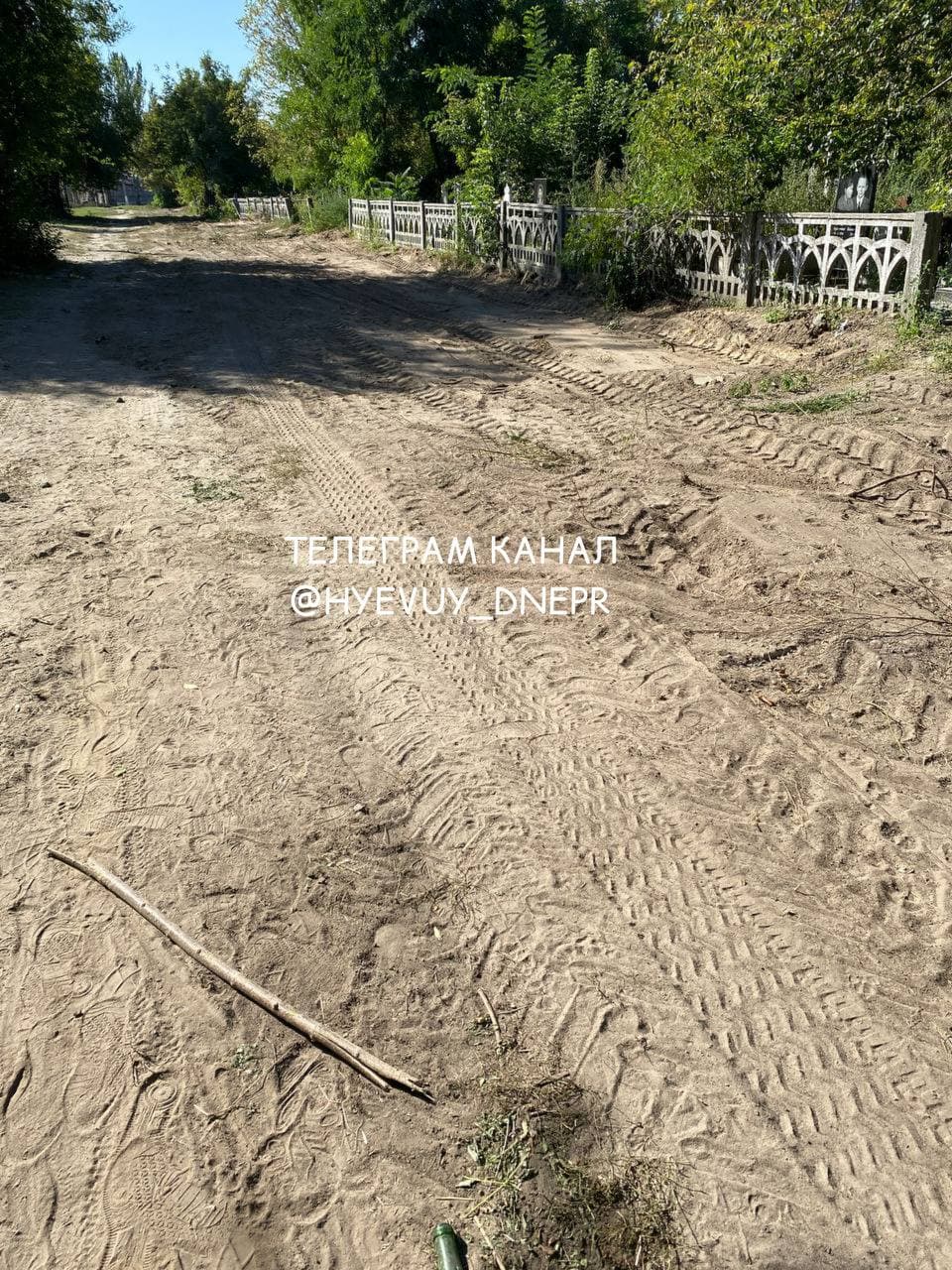 В Днепре разрушили кладбище для домашних животных: части тел выглядывают из земли (фото)