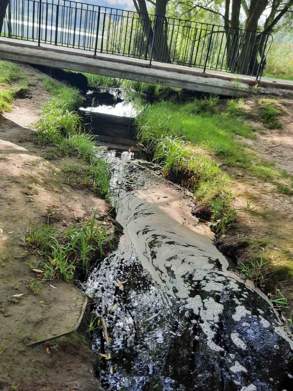 Важкі метали та хімія: у Хмельницькому сміттєзвалище сильно забруднює воду в озері (фото)