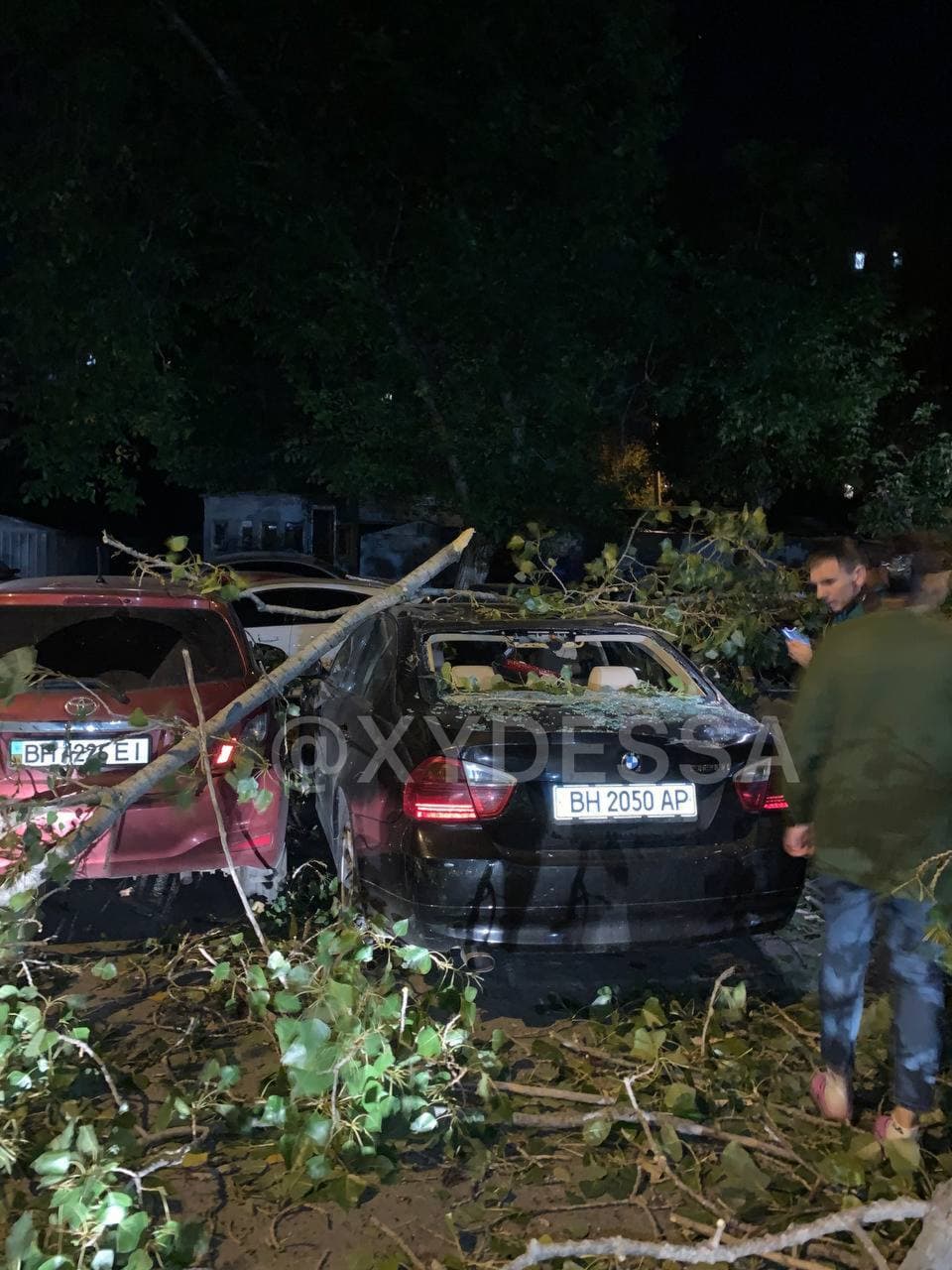 В Одессе дерево упало на припаркованные машины и раздавило семь авто (фото)