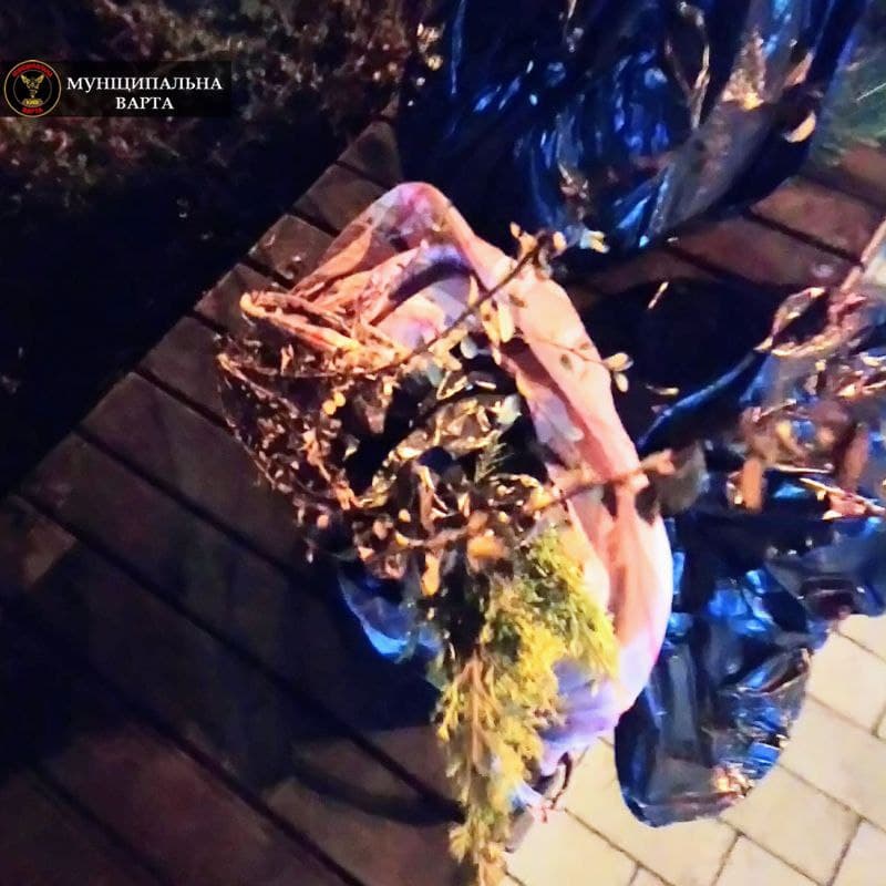 В Киеве задержали воровок с необычным "уловом": фото кражи