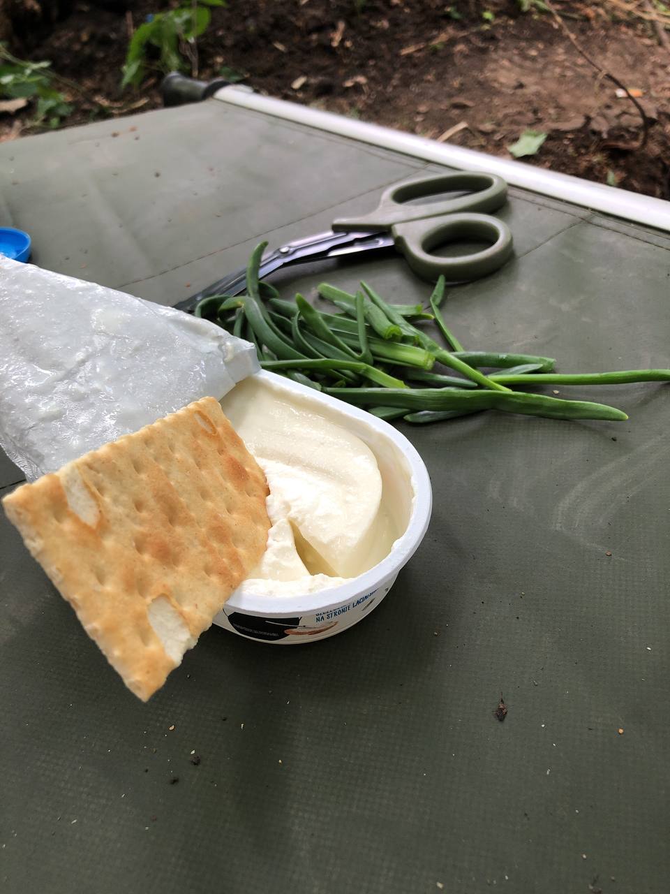 Дай украинцу землю - он будет сажать: парамедик вырастил на фронте лук и поделился фото