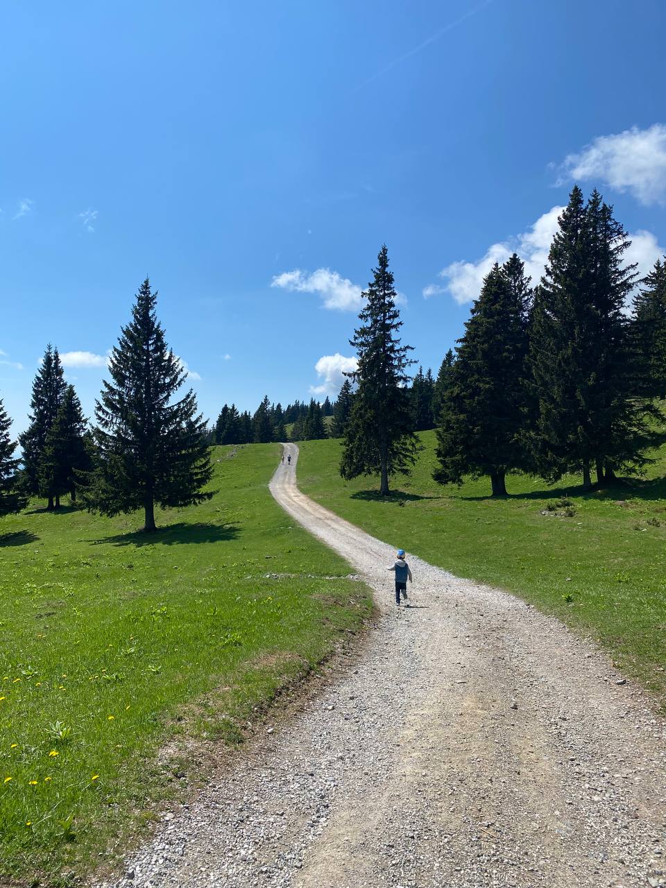 "Из-за комплекса неполноценности возникает иллюзия, будто в Европе жизнь лучше": украинские беженцы – о жизни за границей