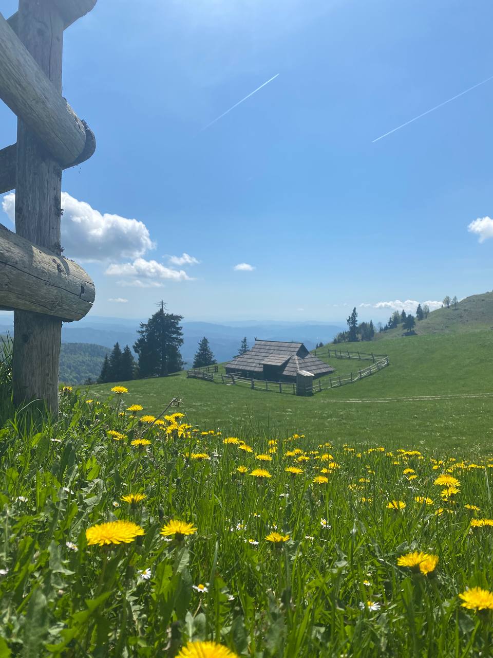 "Из-за комплекса неполноценности возникает иллюзия, будто в Европе жизнь лучше": украинские беженцы – о жизни за границей