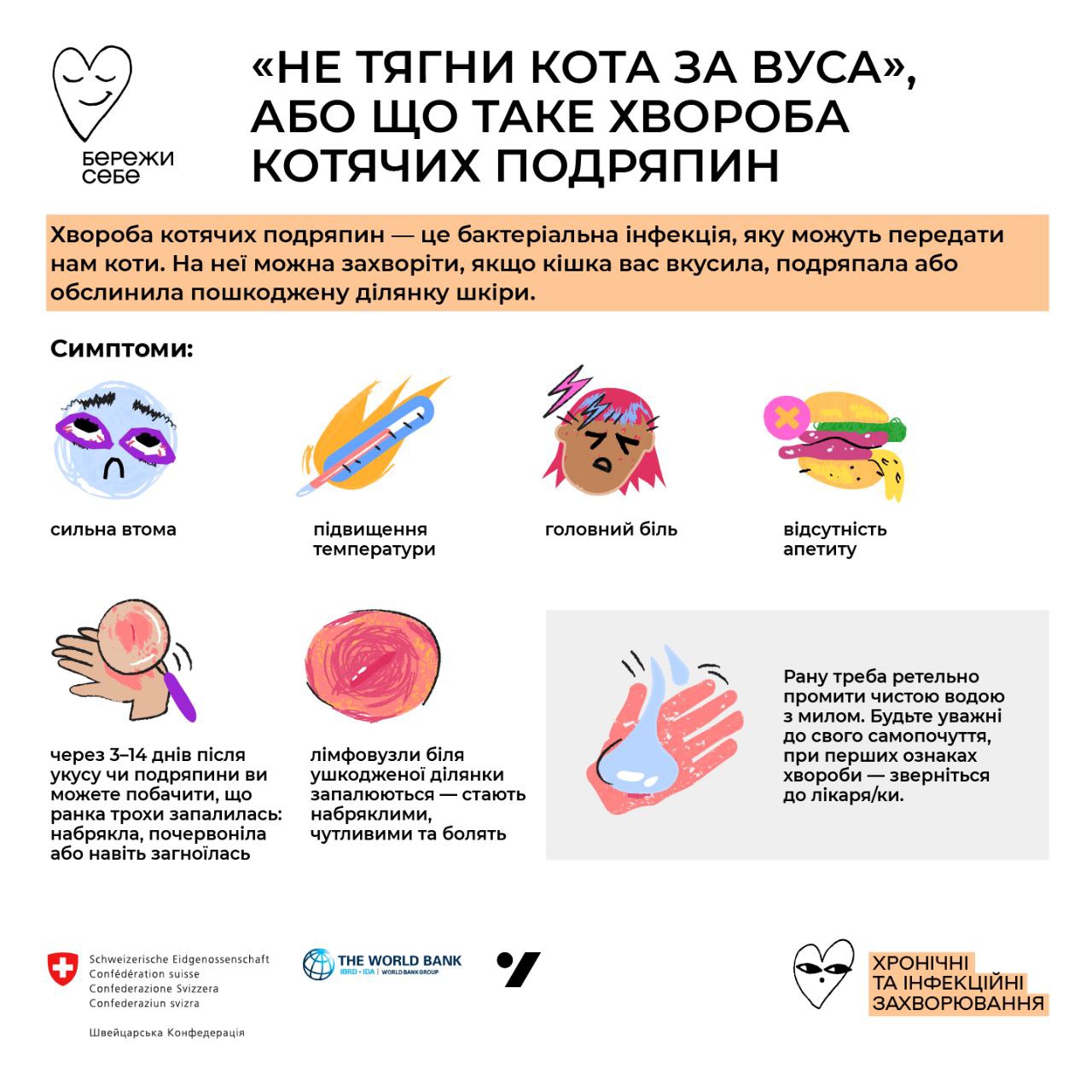 Що робити, якщо вас подряпав чи вкусив кіт: такі рани можуть бути небезпечними