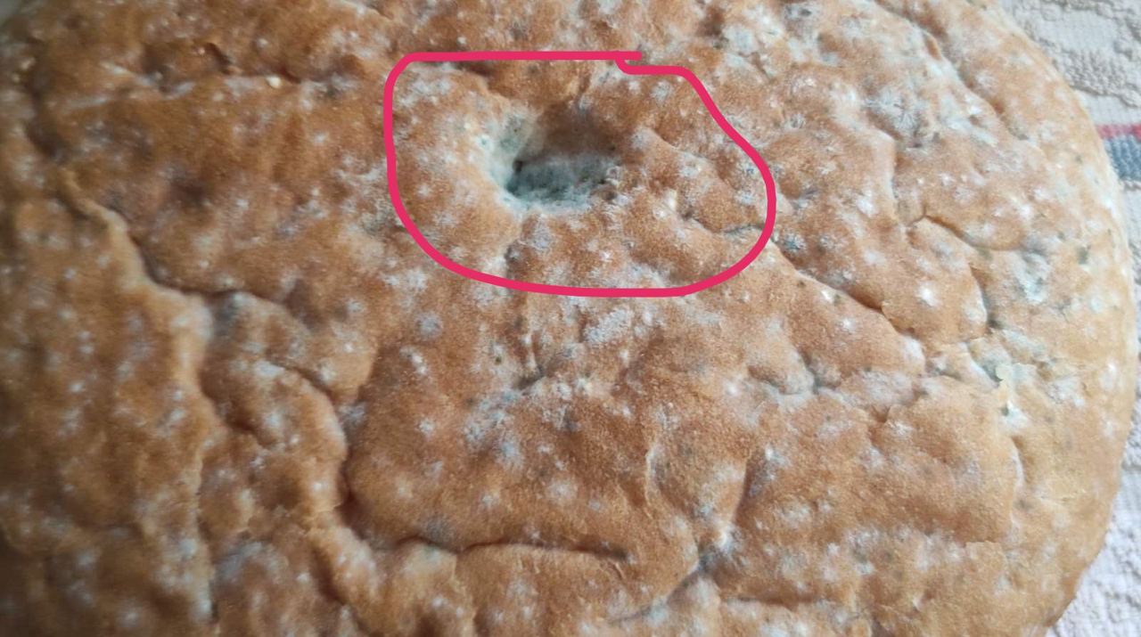 В Мариуполе людям выдают хлеб, на который без слез не взглянешь (фото)