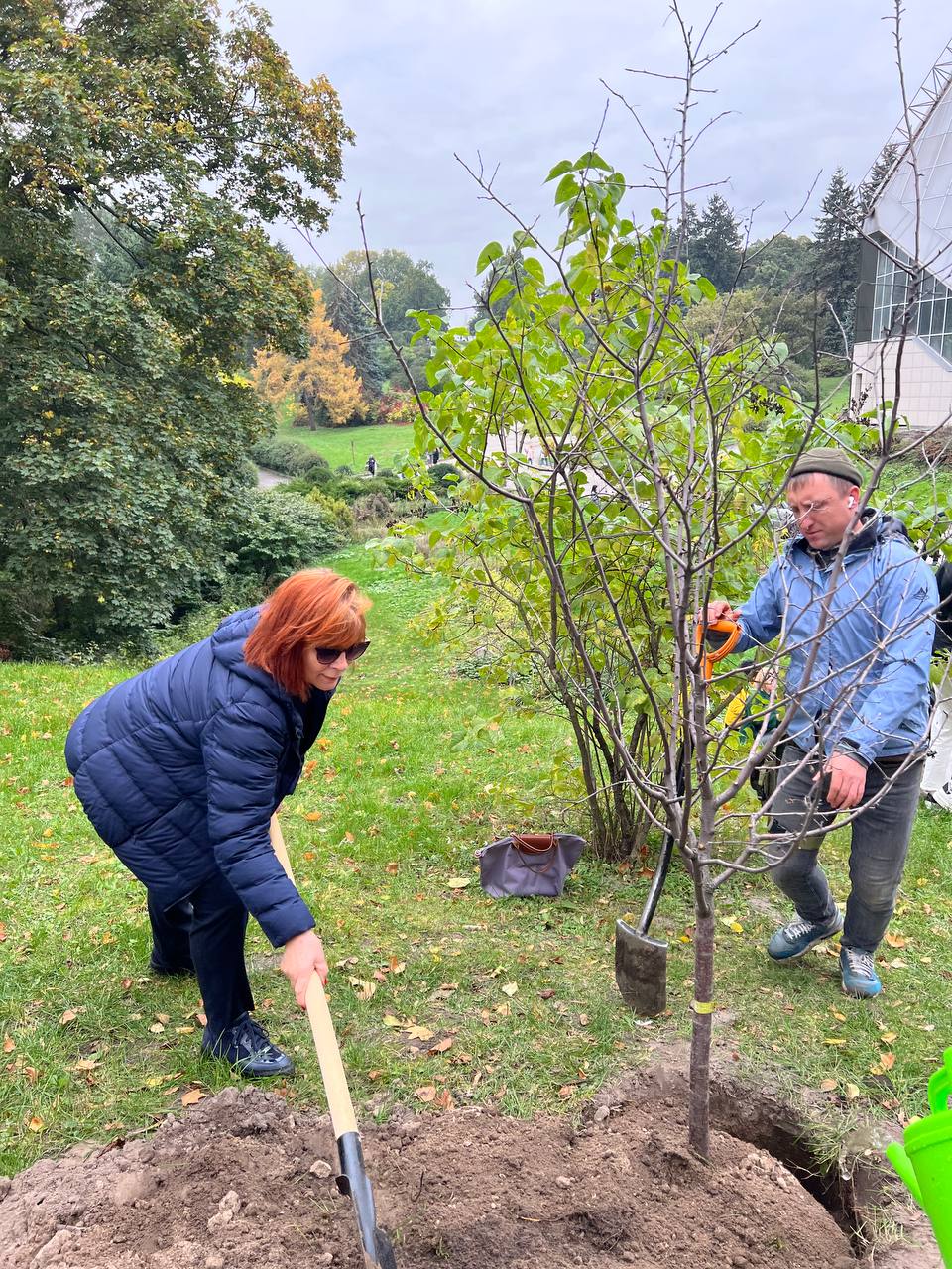 В киевском ботсаду высадили Аллею защитников и защитниц Украины (фото)