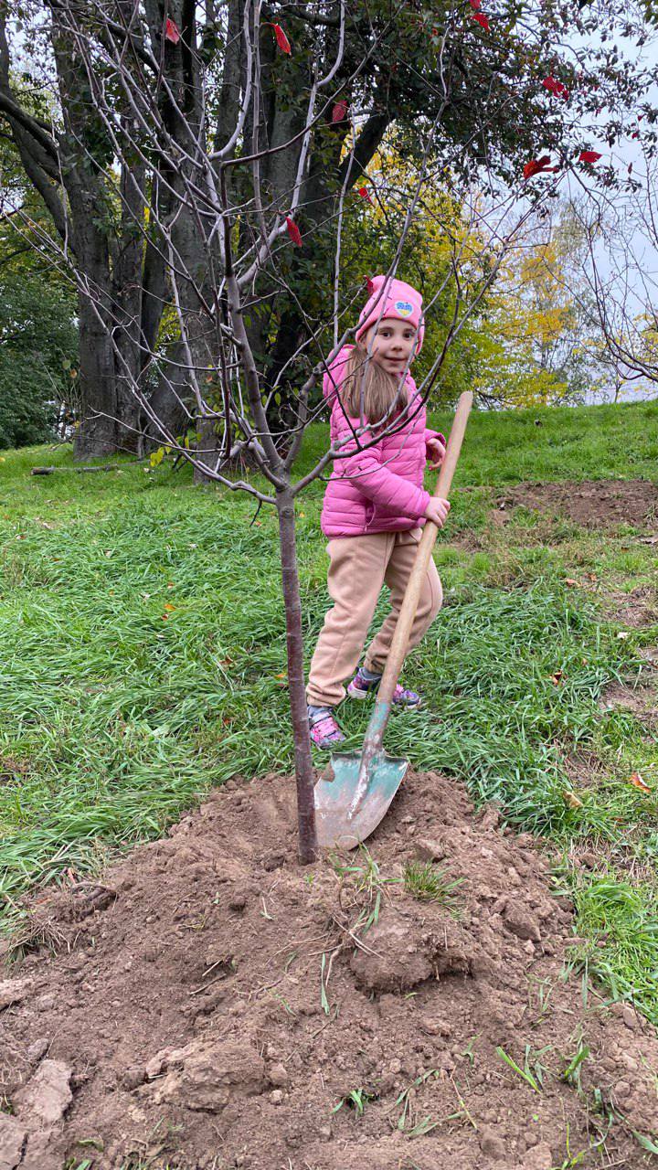В киевском ботсаду высадили Аллею защитников и защитниц Украины (фото)