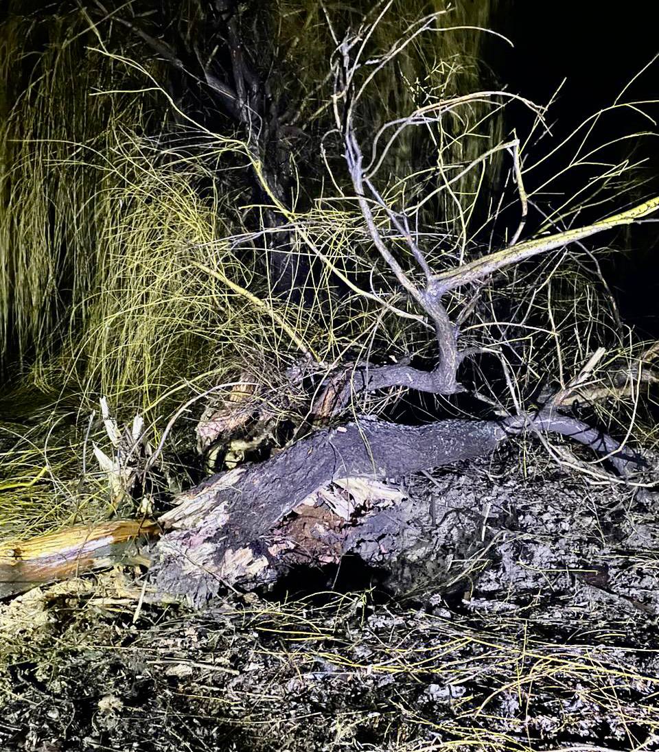 Тривога тривала 12 годин: окупанти гатили по Нікопольському району