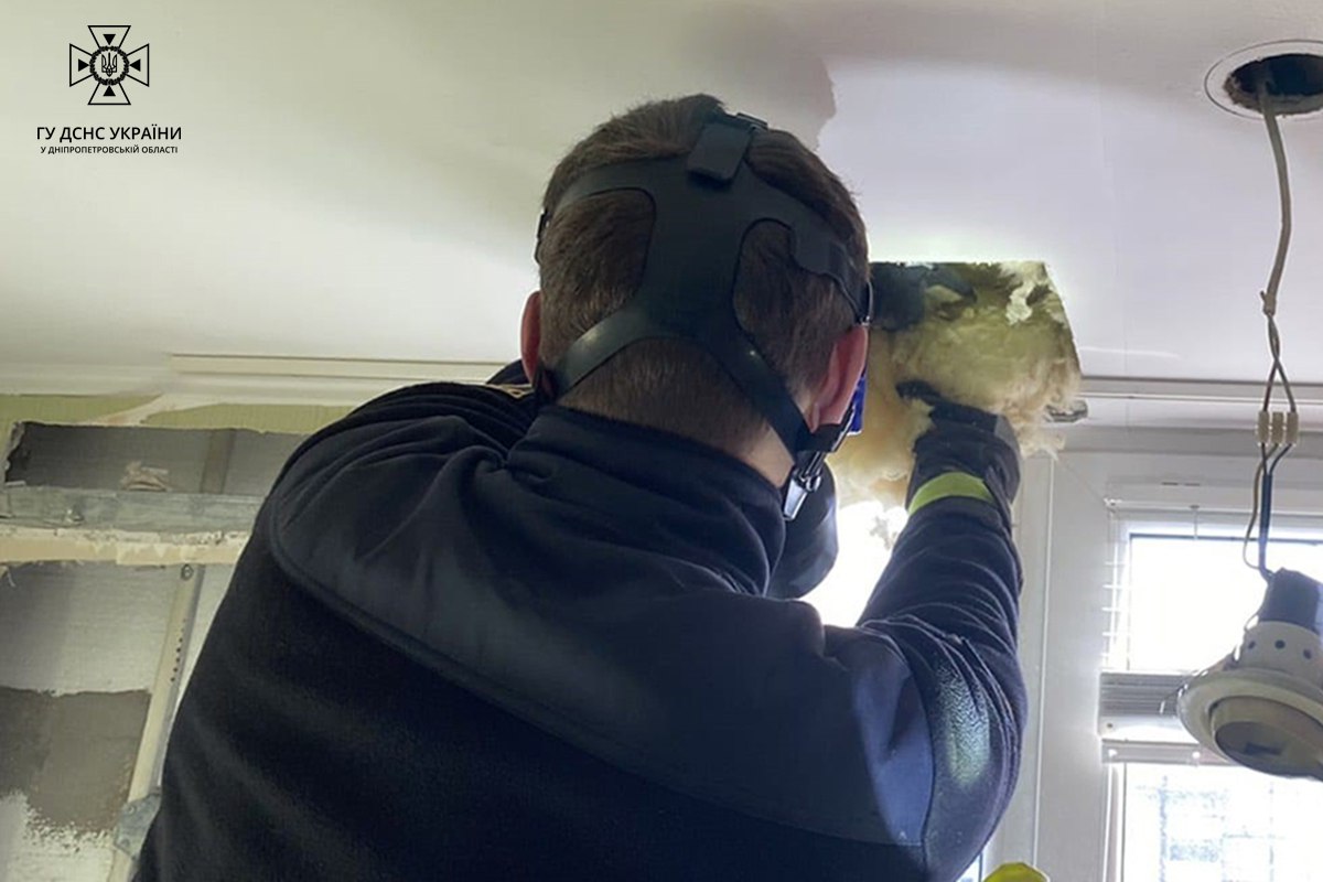 У Дніпрі на балконі квартири виявили 140 непроханих "гостей": фото неочікуваної знахідки