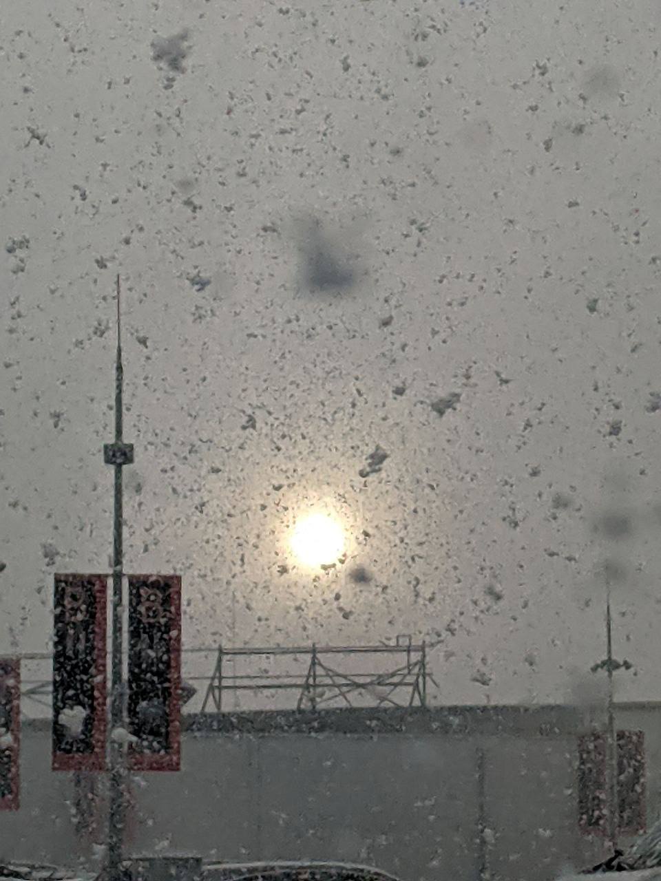 Ось як весняний снігопад припорошив Київ: завірюхи з кучугурами на відео і фото