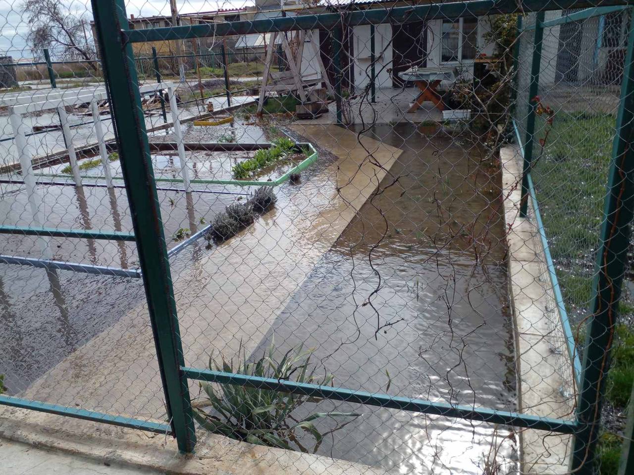 Остались только собаки и руины. Как выглядит сейчас курортная Затока под Одессой